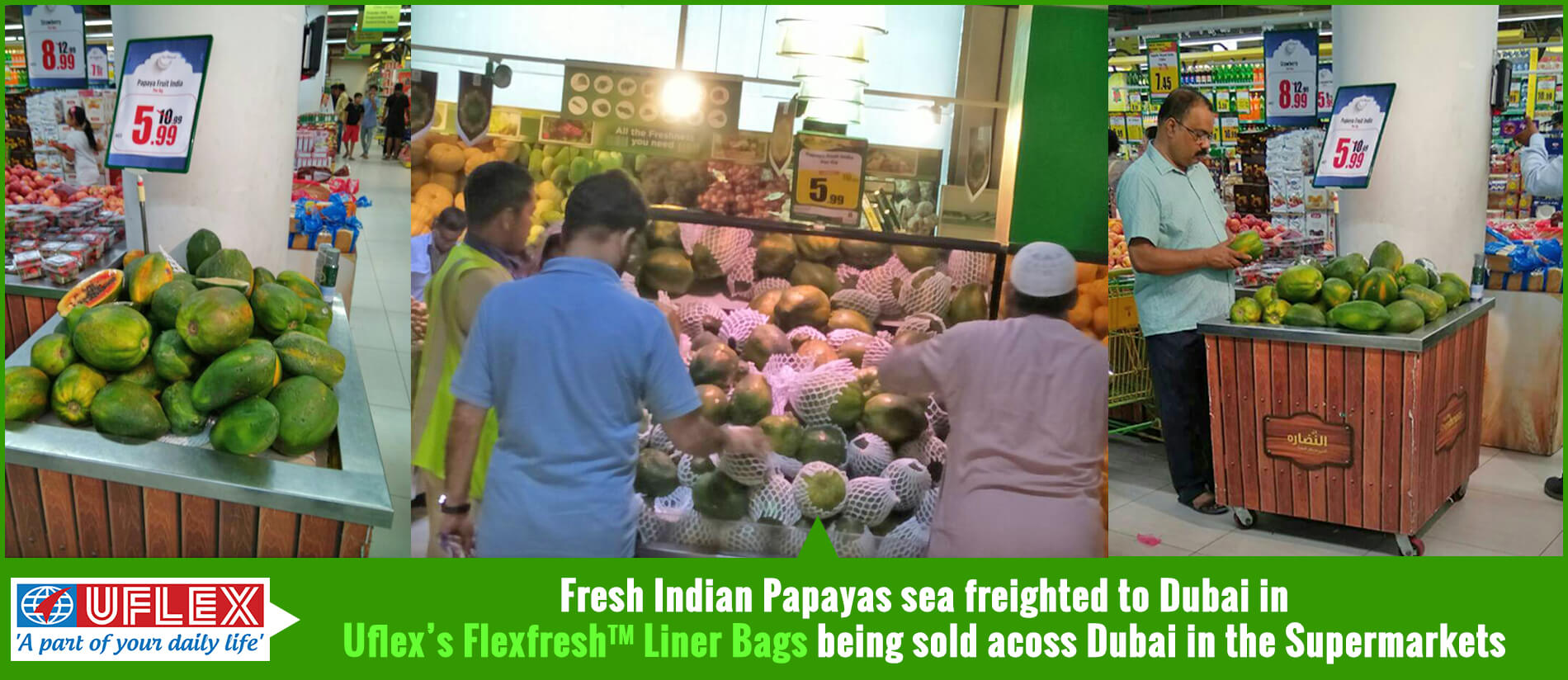 Fresh Indian Papayas being sold in Dubai Super Market