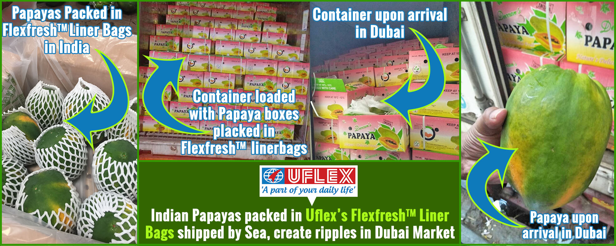 s Flexfresh Bags Sea Freighted to Dubai