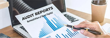Reconciliation of Share Capital Audit Report