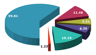 Shareholding Pattern