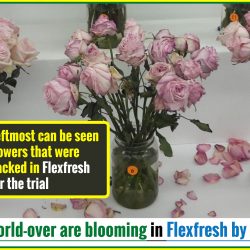 Flowers World-Over are Blooming in Flexfresh By UFlex
