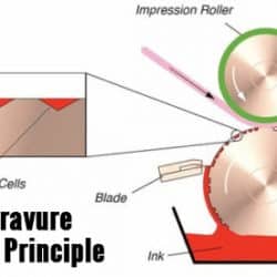 Rotogravure or Flexography Printing?