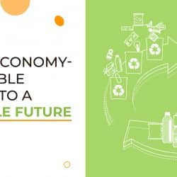 Circular Economy – An Intangible Approach To A Sustainable Future